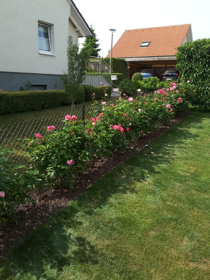 Ferienwohnung Schubert Sagard Esterno foto